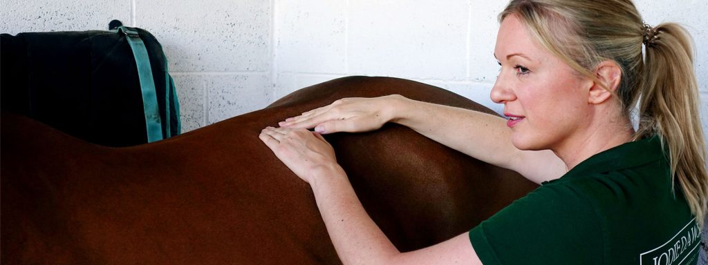Equine massage with Jodie of Holistic Therapy by Jodie